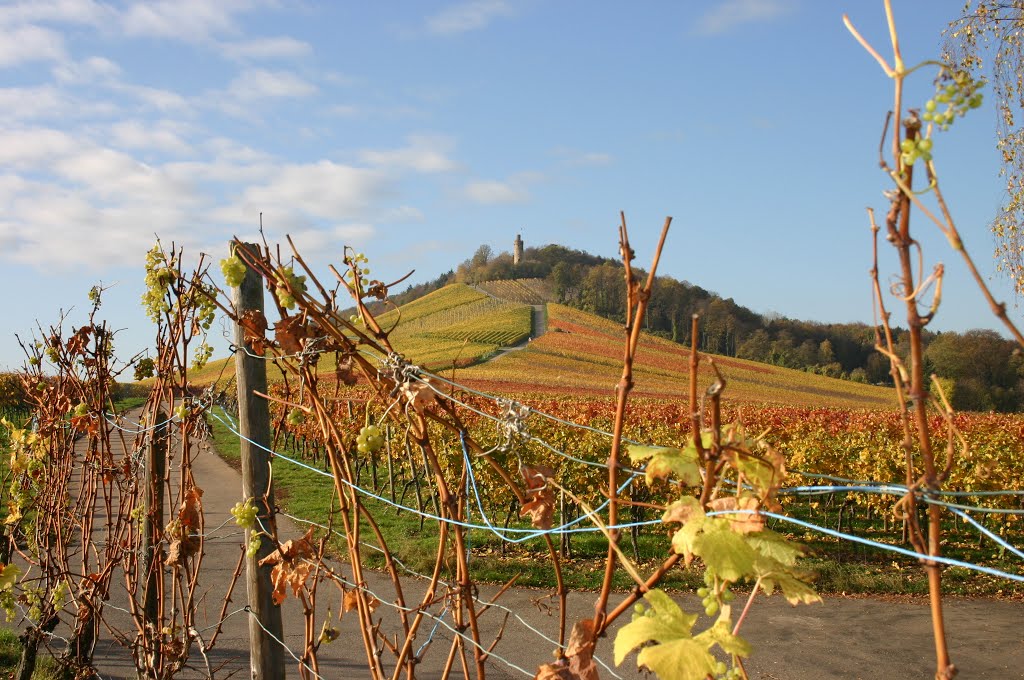 Heuchelberger Warte im Herbst by HeuchelbergerWarte