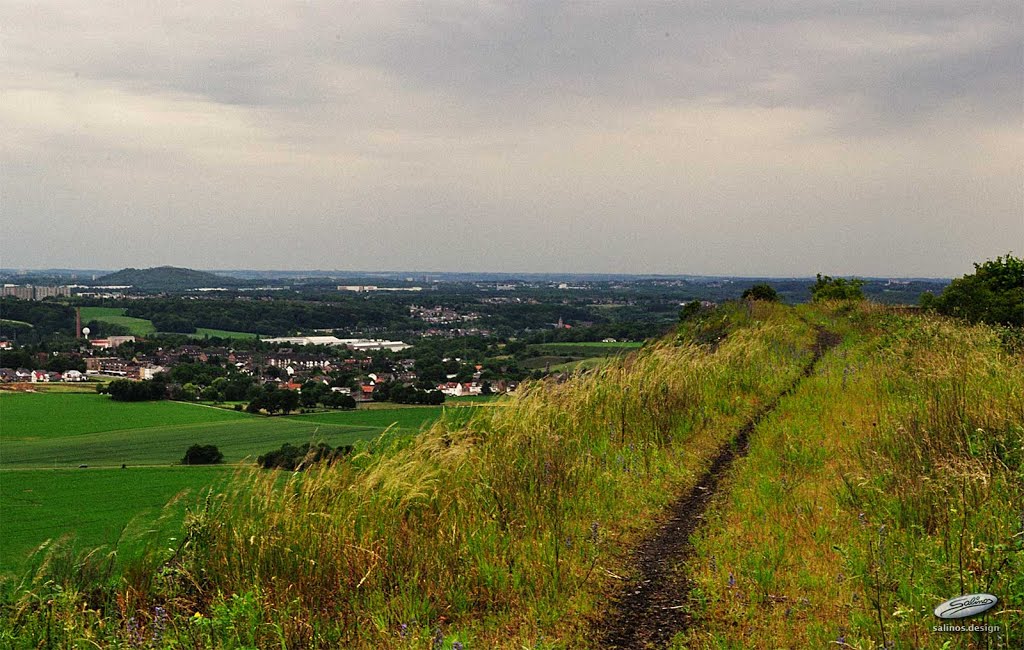 Walking on coals – Berghalden Noppenberg und Nordstein - (C) by Salinos_de NW by SalinosⒸ