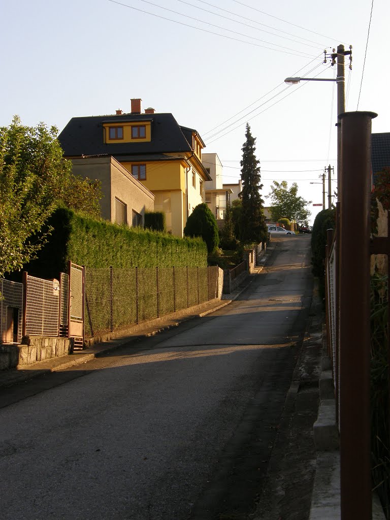 Háj ve Slezsku-Chabičov - ulice Nad školou (street "Above the school"), Czech Republic by MAPP HUDRANS