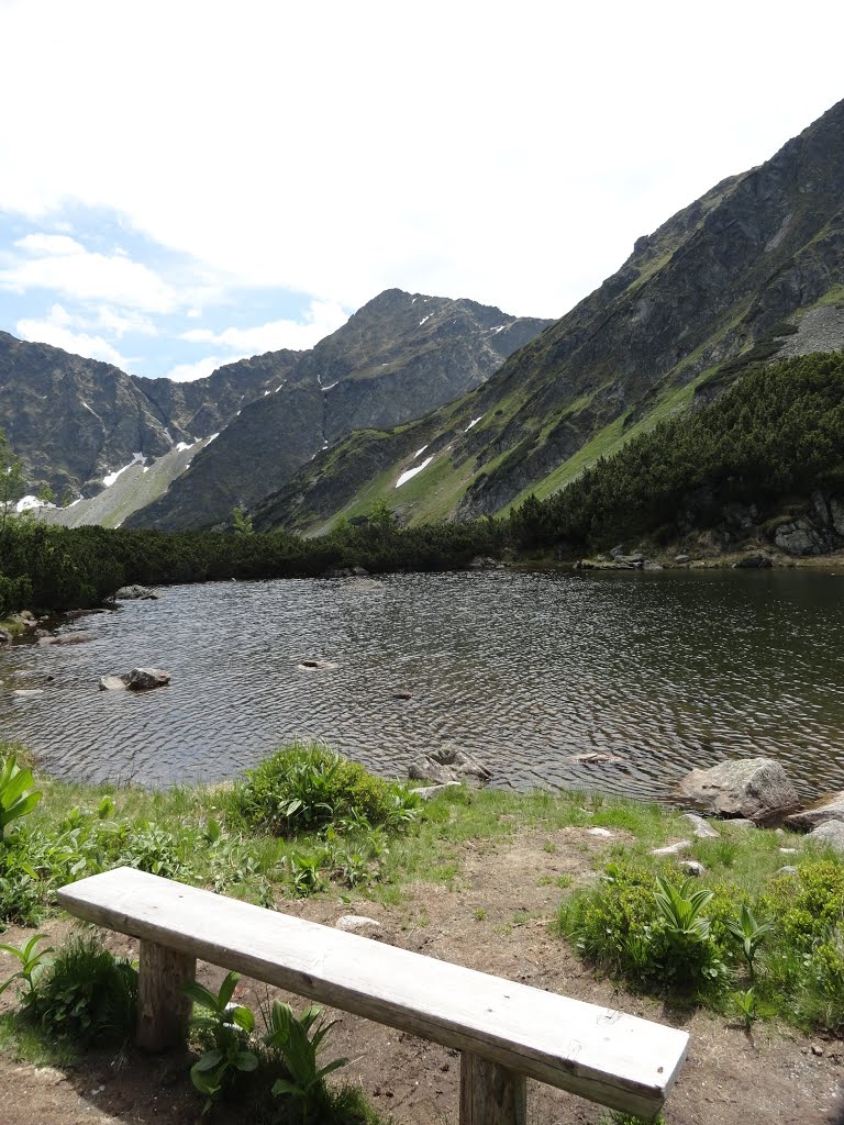 Druhé Roháčske pleso by Zdenulik