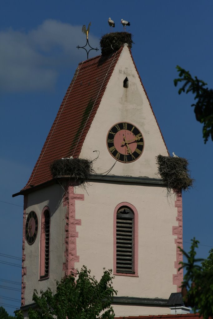 Holzen, Storchennester @Kirche by Klaas Jan Gebauer