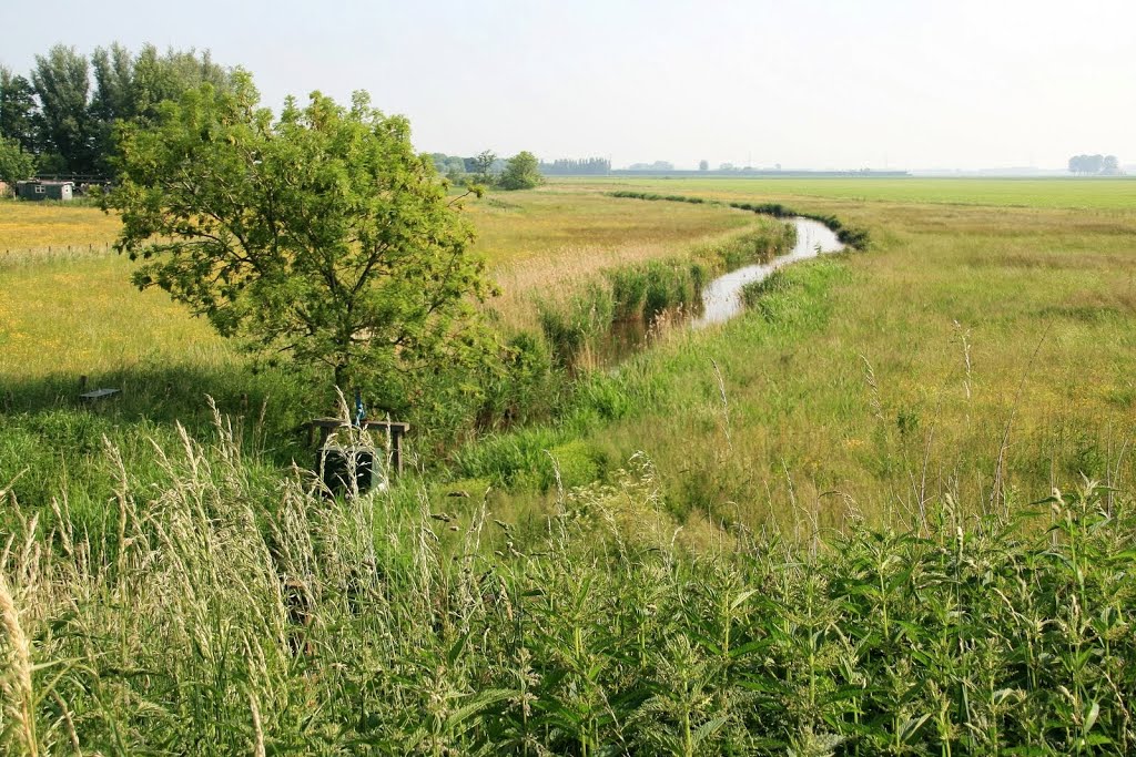 Piershil - 3-sprong (Sluisjesdijk - Zwartsluisje - Kostverlorendijk) - de Drombeek by Scholte