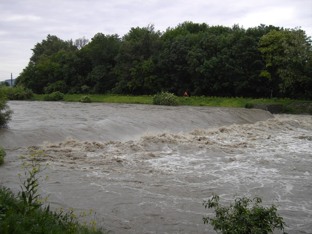 Traisen Hochwasser 2006 Juni by gt123456