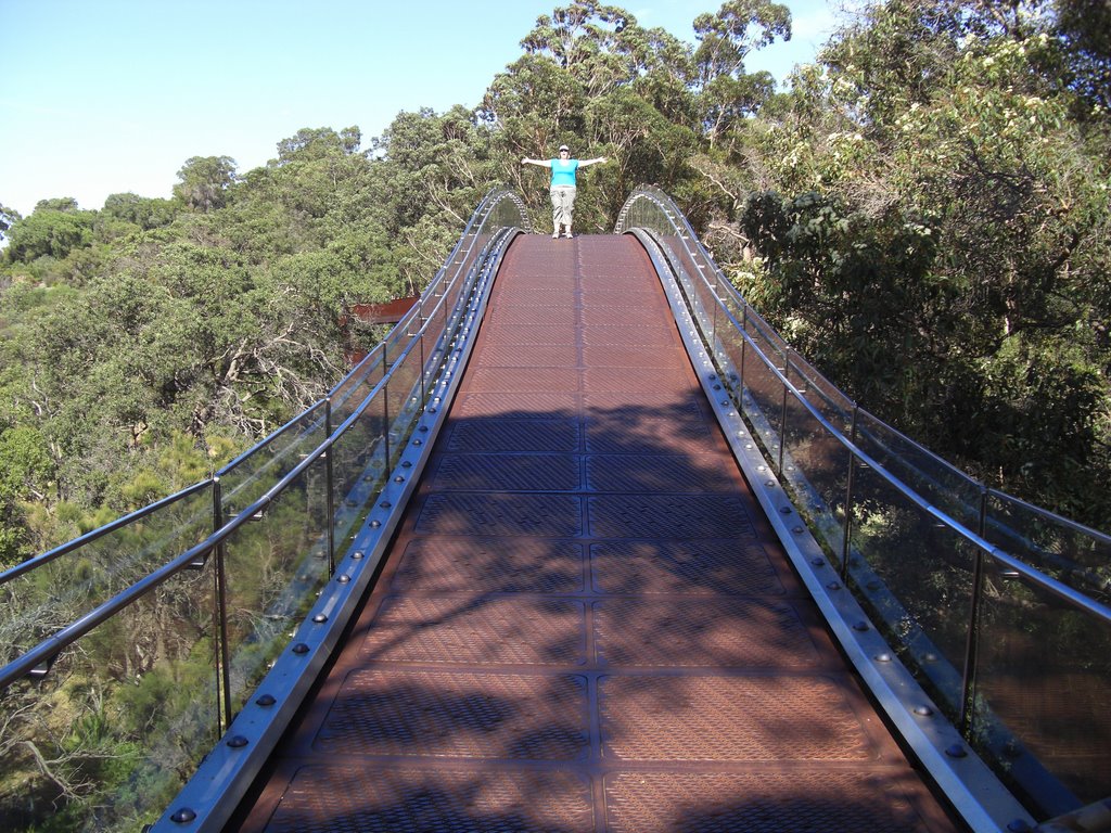 Treetop walkway by peteriain