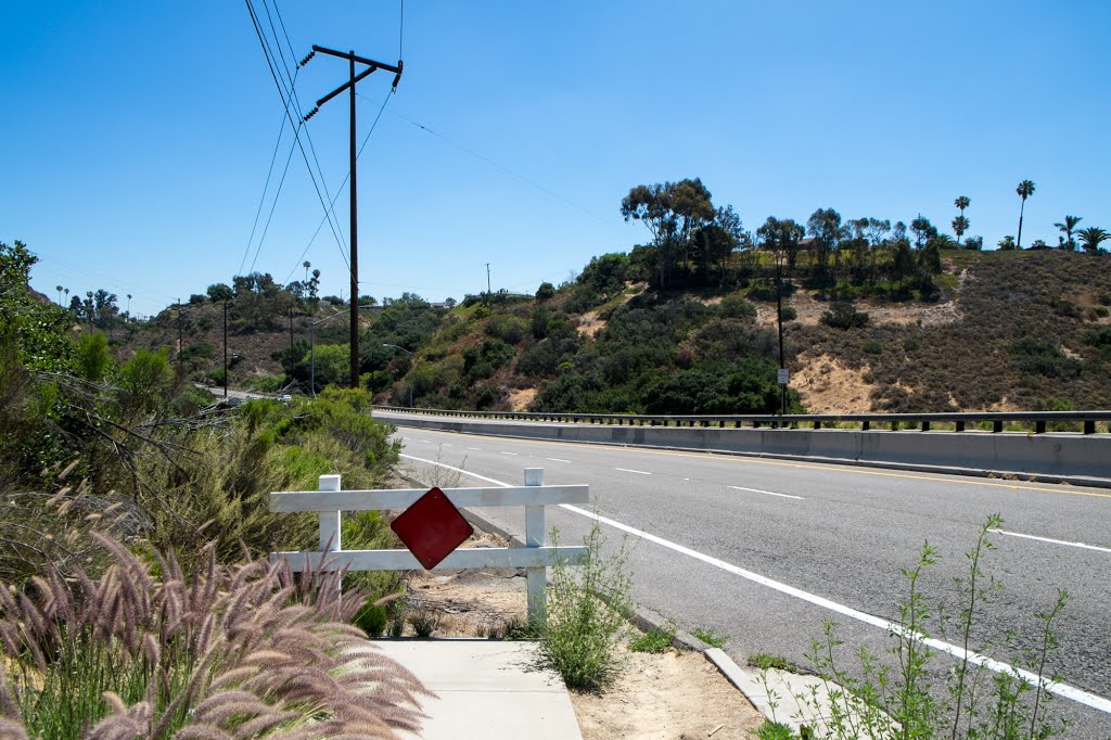 Tecolote Canyon by Eric D. Bier