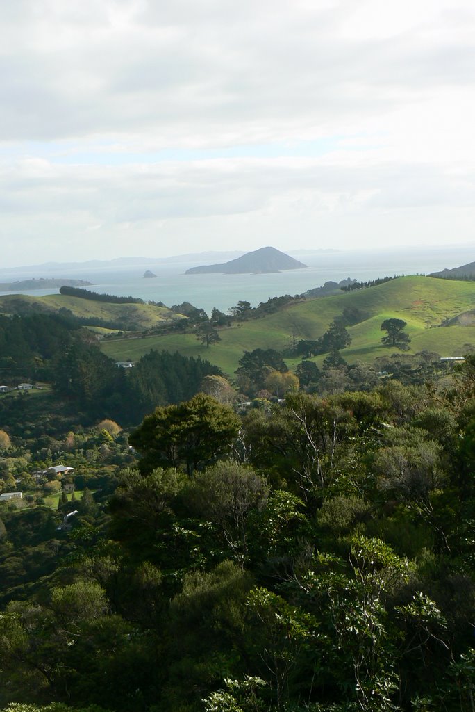 View from Driving Creek Railway Tower by festivalkult.de