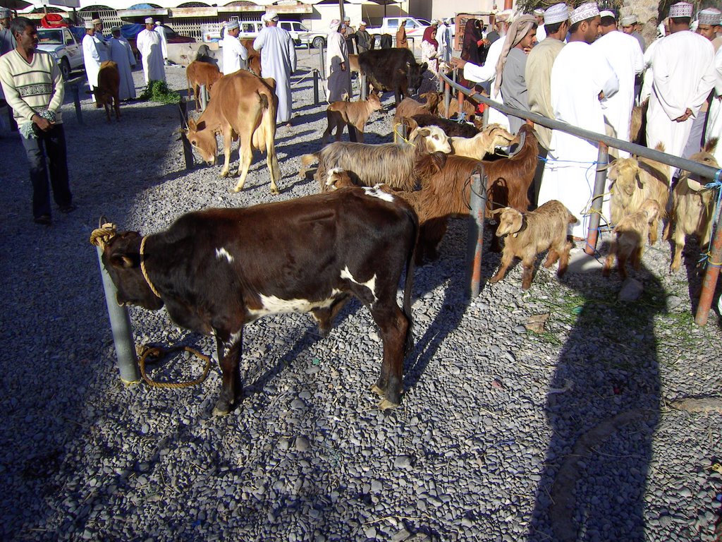 Nizwa, Friday Market, Feb 8, 2008 by eberli