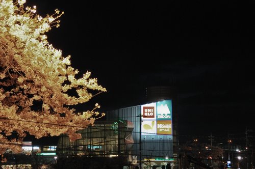 2 Chome-2 Shimokawaraya, Izumisano-shi, Ōsaka-fu 598-0062, Japan by Max Editor