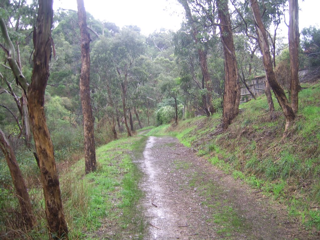 Plenty River Trail by VICPhotoSurvey