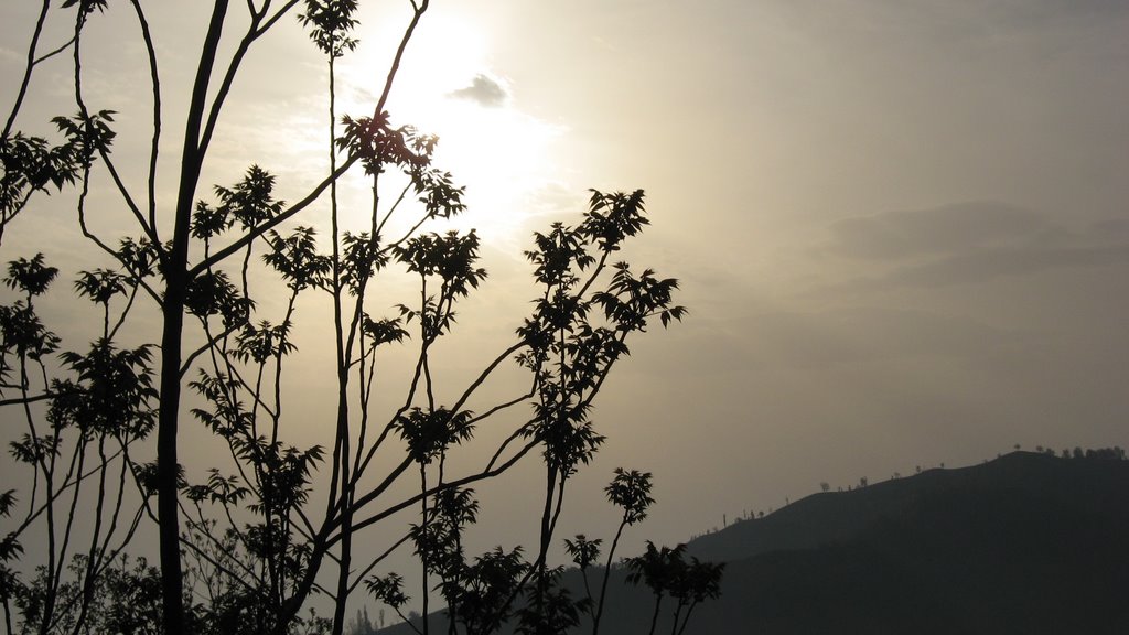 Leilakouh and Sun, Spring 2008 by Kaveh Fallah-Alipour