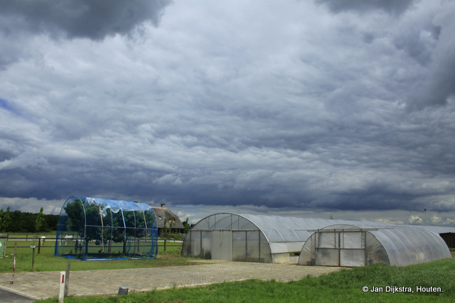 Tuinbouw is belangrijk in Snelleveld. by watersnip