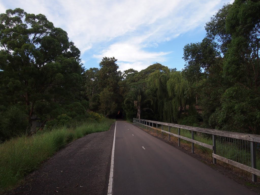 Fernleigh Track by WoollyMittens