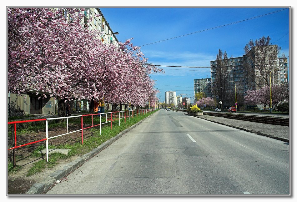 Košice, Južná trieda by Jan Balaz