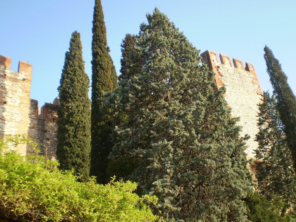 VISTA DO CASTELLO DI SOAVE by Maria Salette Jacque…