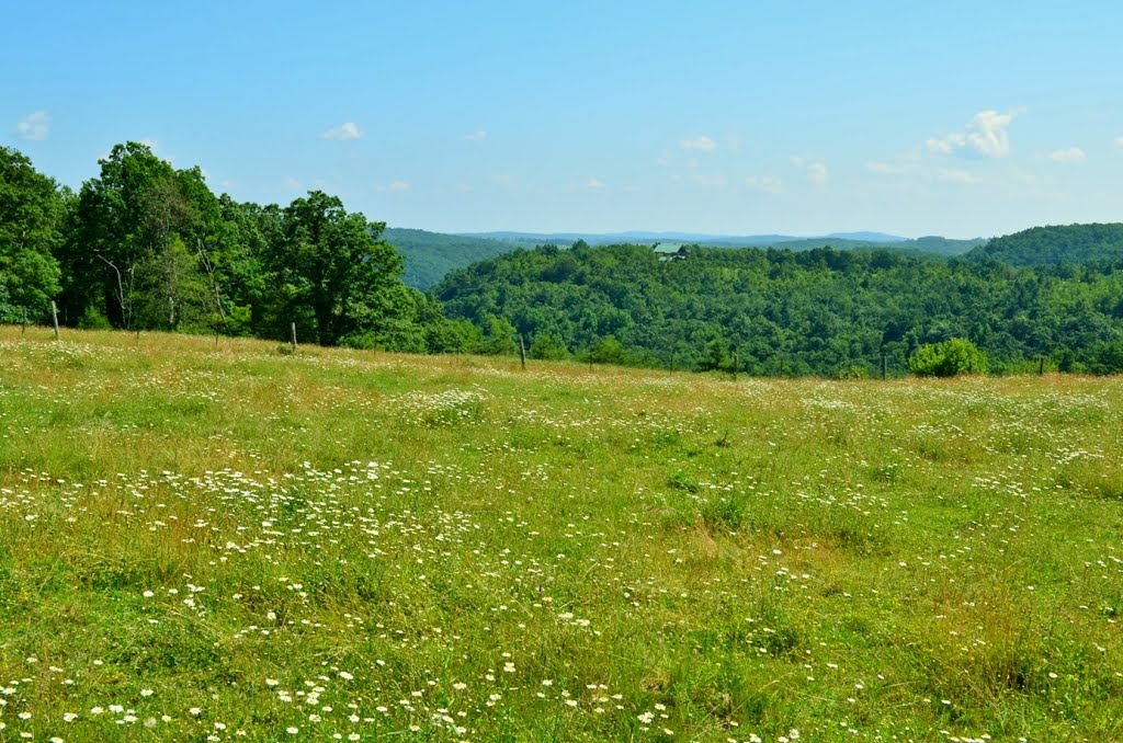 Grassy Knoll by Justin P