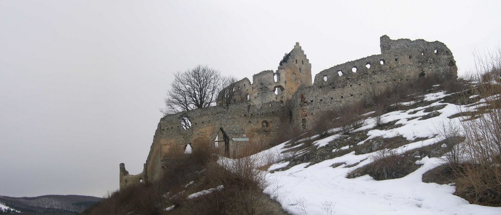 View to castle Topolcany by Marian Ferko