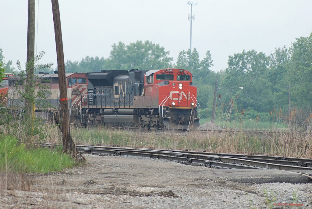 CN 8891 at Tunnel Yard by Dan Meinhard