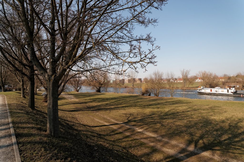 Regensburg - Wöhrdstraße - View NNW by txllxt