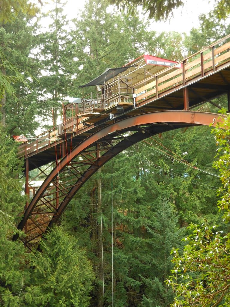 Bridge over the Nanaimo River... by frtzw906