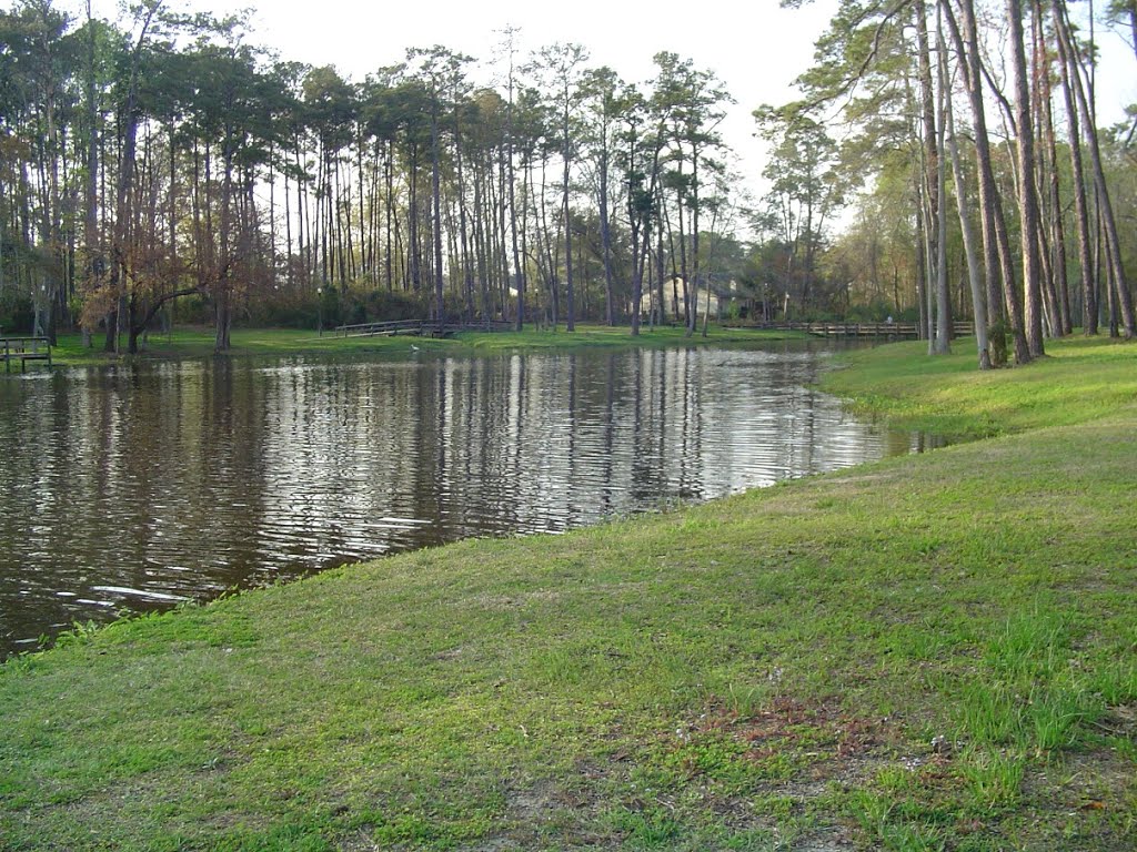 The North cove of Cherokee Lake by vee_dog