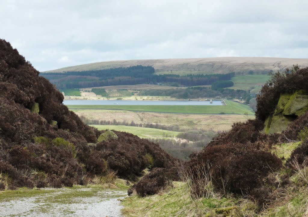 Viewage From Sheepy Place by Ian Faggolot