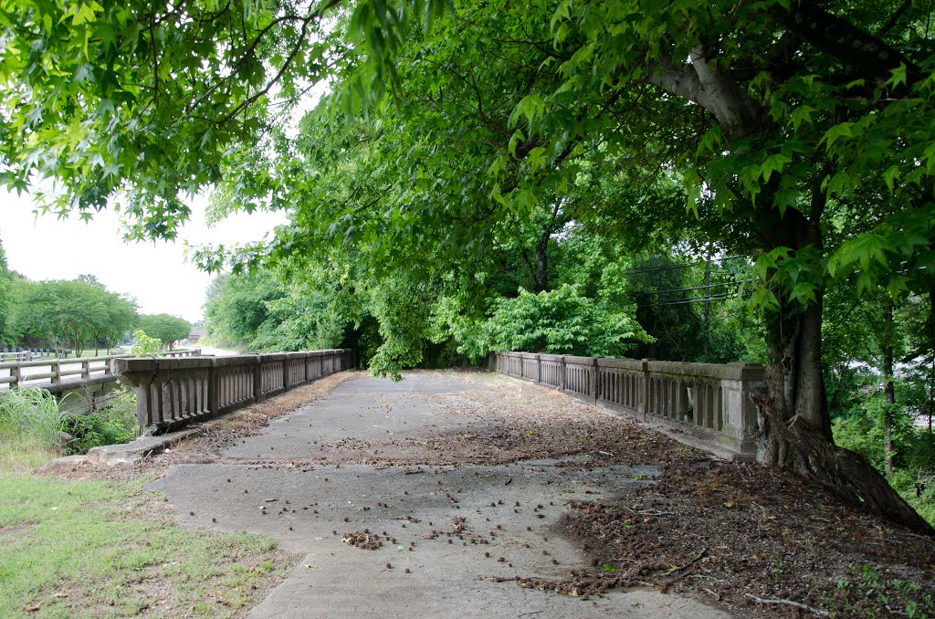 Old U.S. Highway 31 Bridge by wmr36104