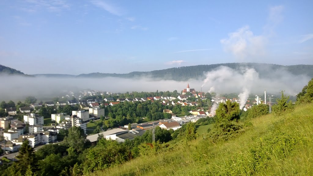 Morgennebel über Unterkochen im Juni by ds53