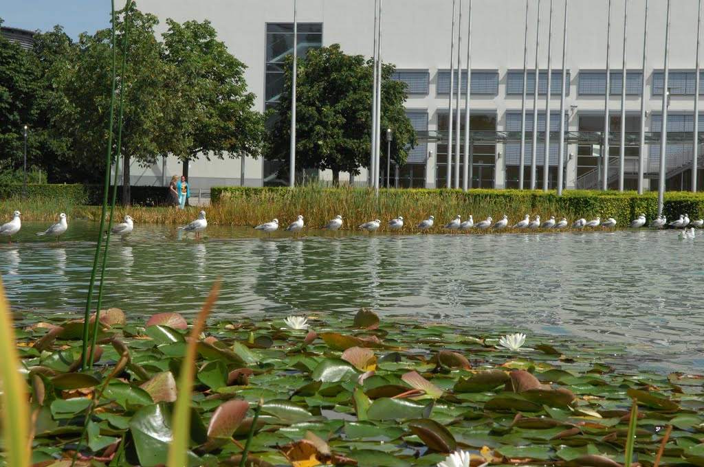 Neue Messe München by yvkeenchc