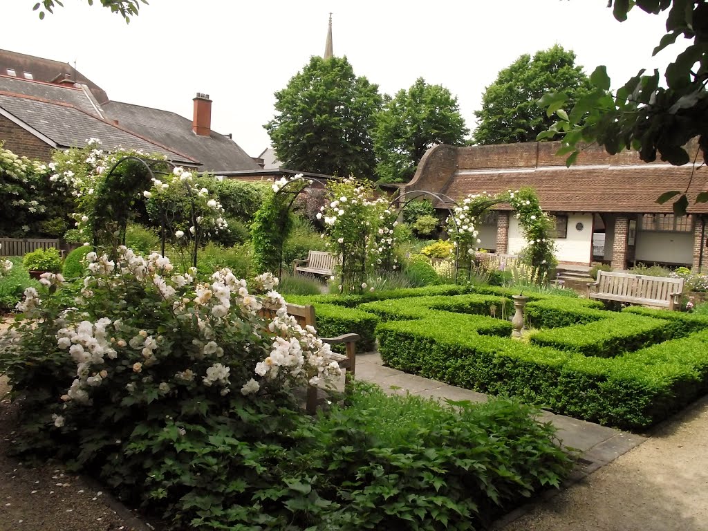 Gardens in Farnham, Surrey by tonywatson