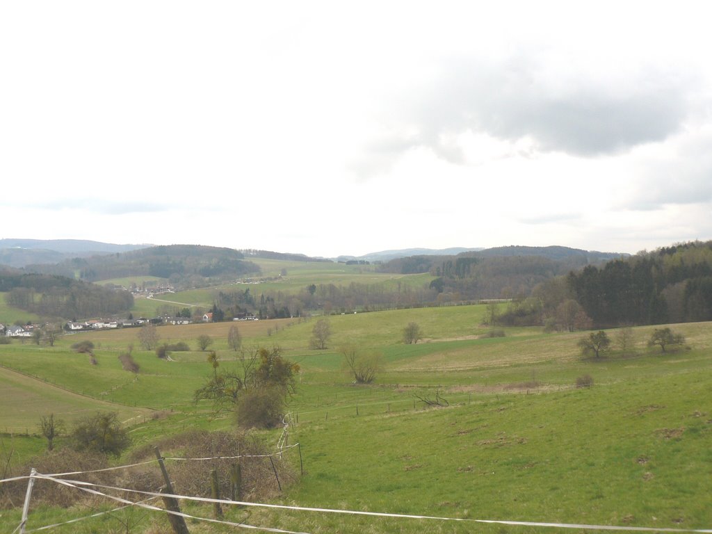 Tal bei Ernsthofen by Armin Silber