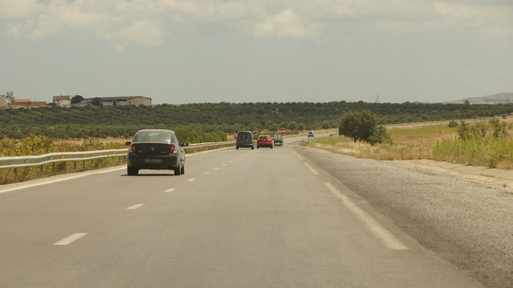 Photos taken on algeria tunisia highway by © Maher Baraket