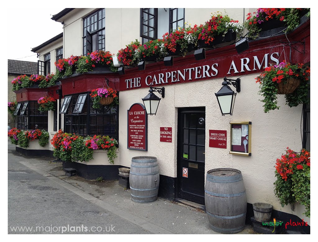 The Carpenters Arms by majorplants