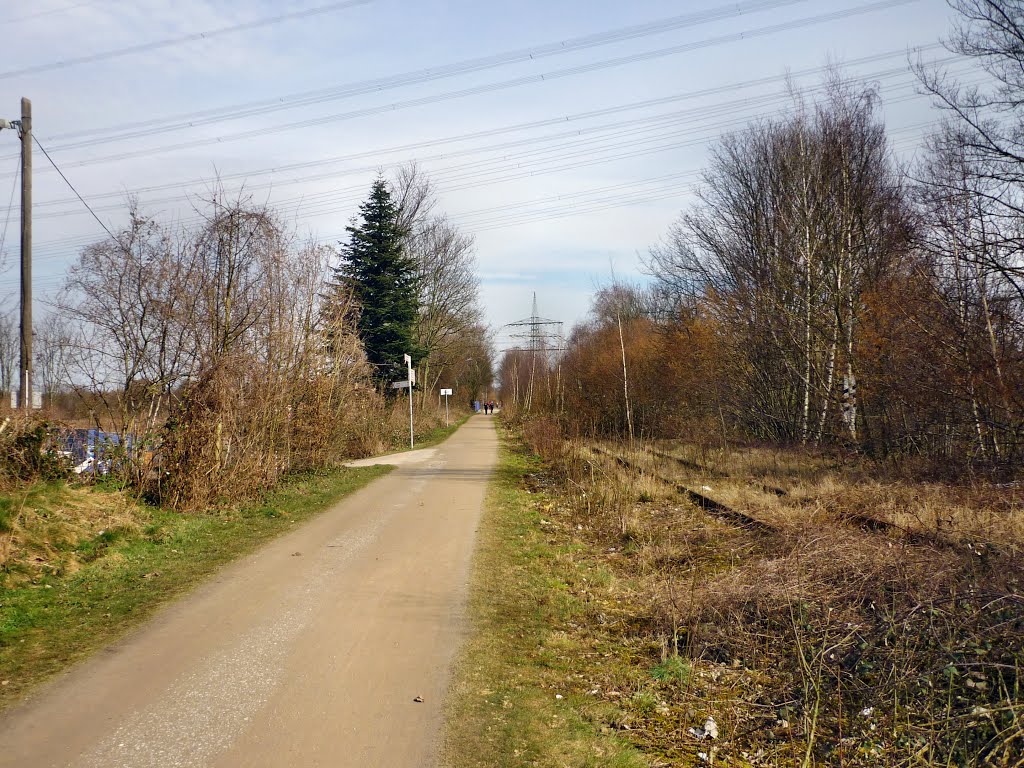 Rheinische Eisenbahnstrecke, Radweg (Essen-Kray) / 24.03.2013 by Iceman93 / NO VIEWS!!!