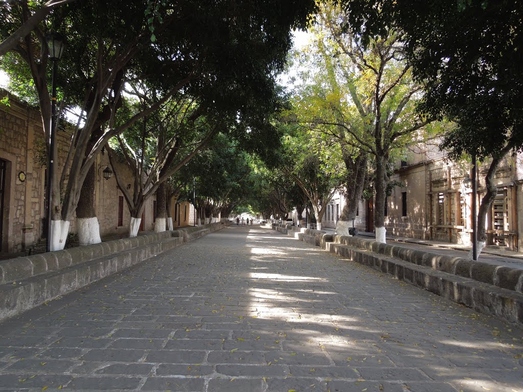 Calle Fray Antonio de San Miguel by Arturo Cárdenas L