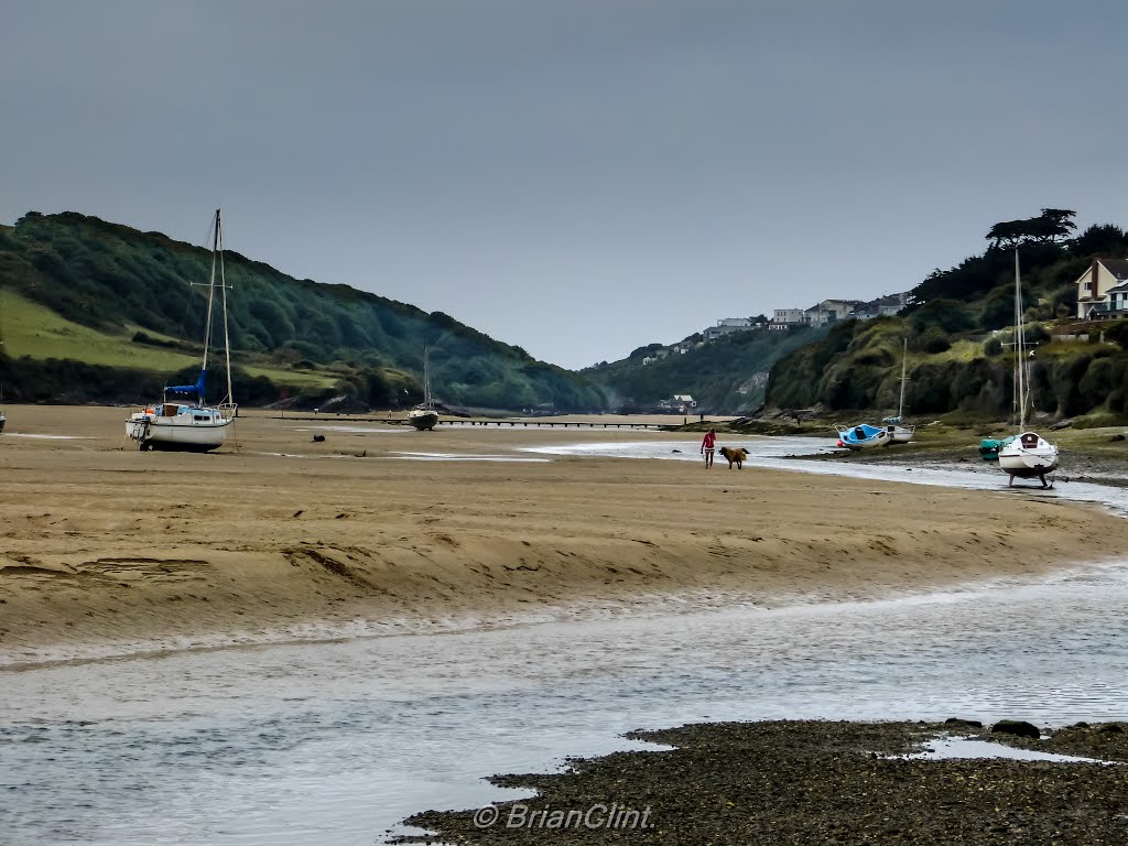 Gannel Estuary. by Brian Clint