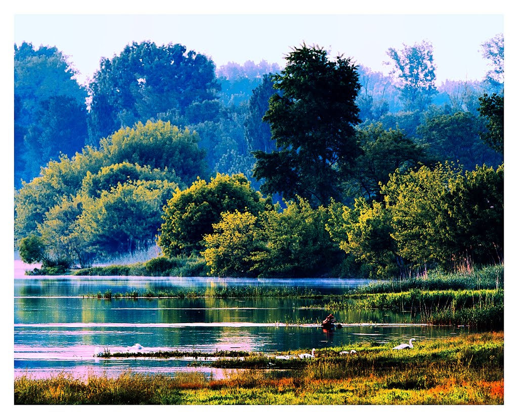 The Birds of Rhone by Michael Domaradzki