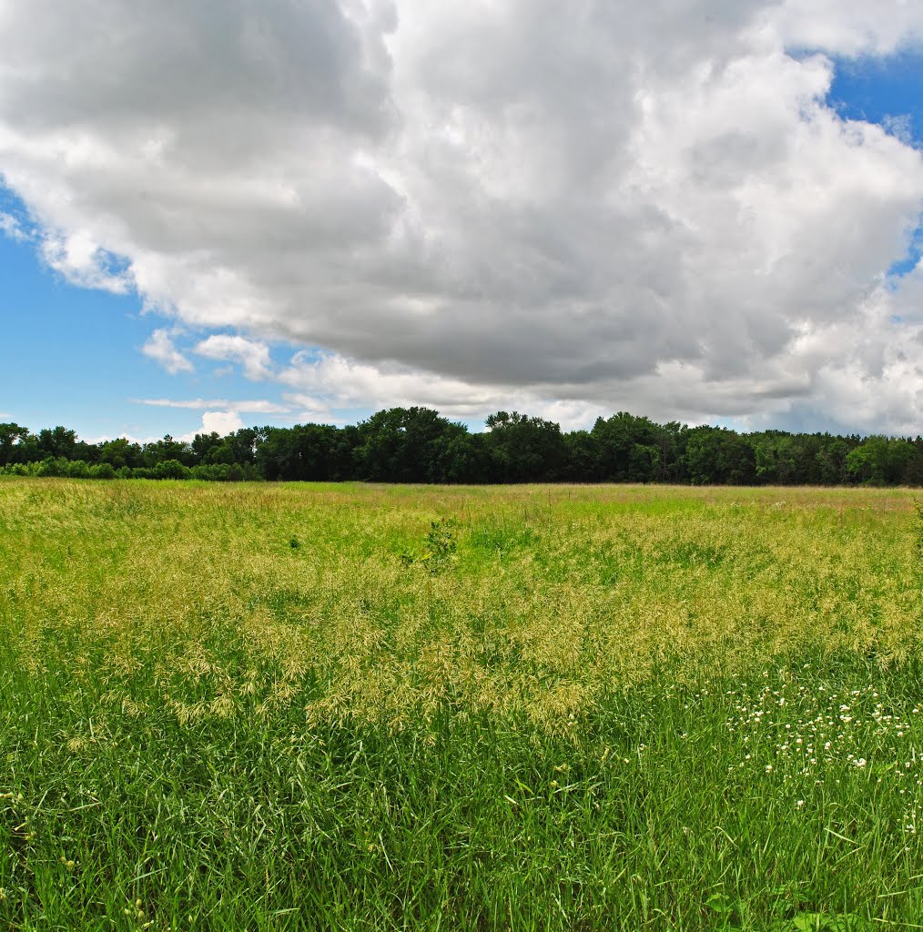 Lower Chippewa River State Natural Area by Aaron Carlson