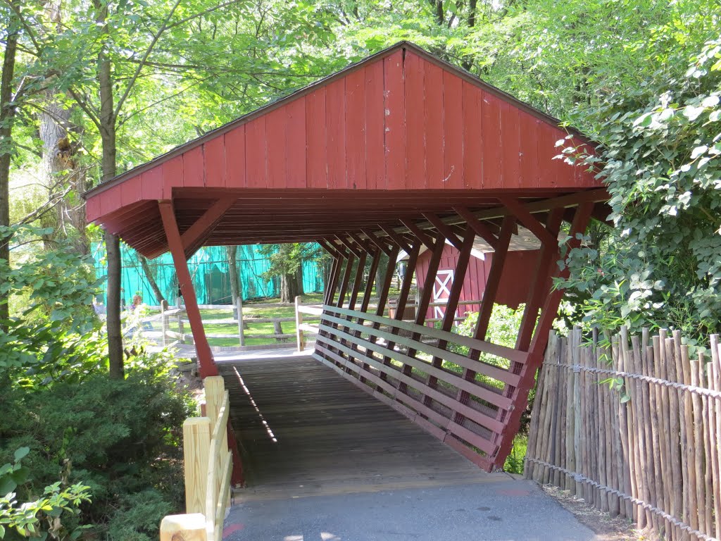 Covered Bridge by Adam Elmquist