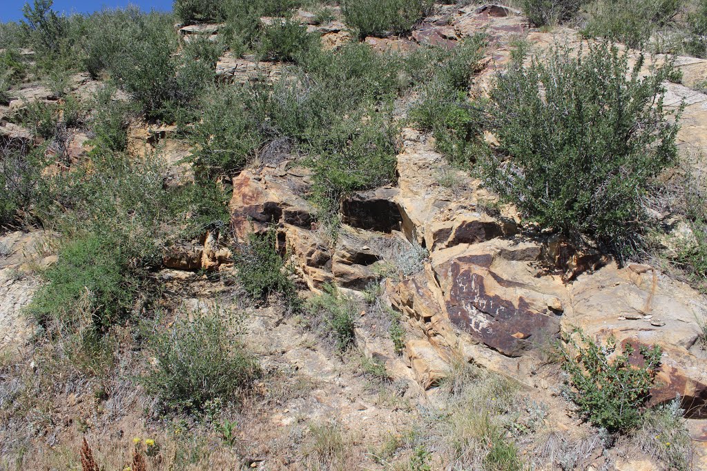 Dinosaur Ridge - Jefferson County, CO by DWhiteman