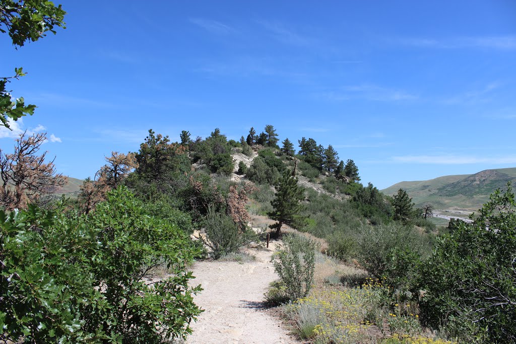 Dinosaur Ridge - Jefferson County, CO by DWhiteman