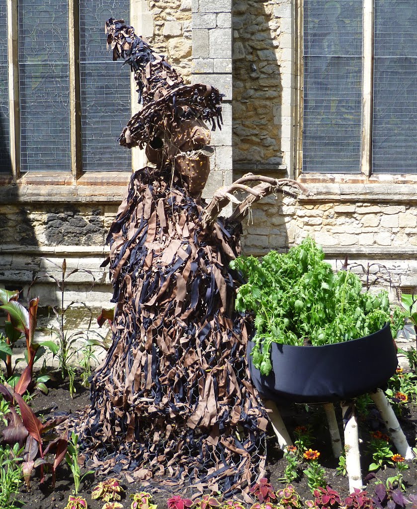 Rose fair witch, wisbech, cambs. july 2013. by Michael & Grace.