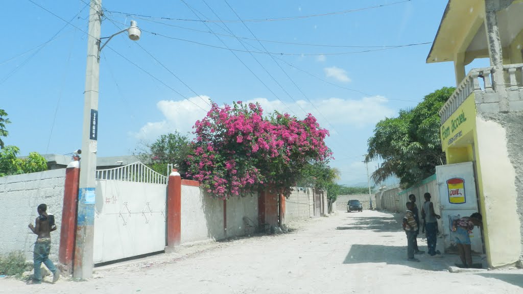 Some colorful flowers lighten up the street by GerardNL