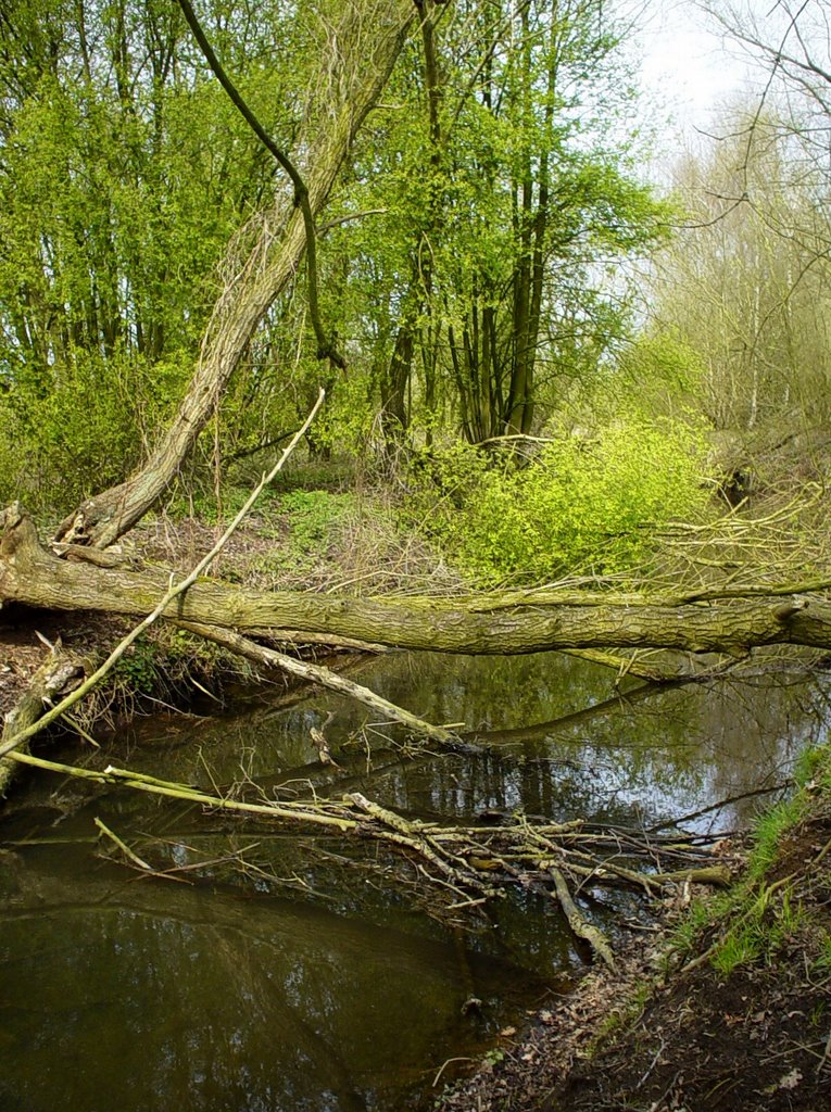 Gulden Aa, De Bundertjes, Helmond by uaf