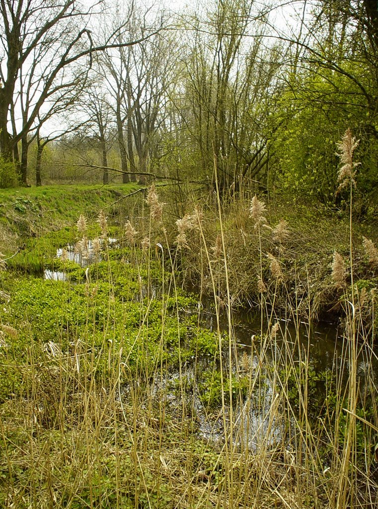 Gulden Aa, De Bundertjes, Helmond by uaf