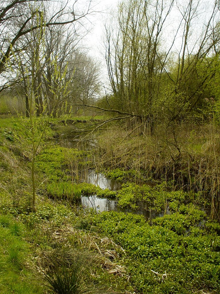 Gulden Aa, De Bundertjes, Helmond by uaf