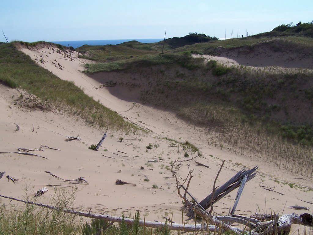 High dunes by Richard Mobley