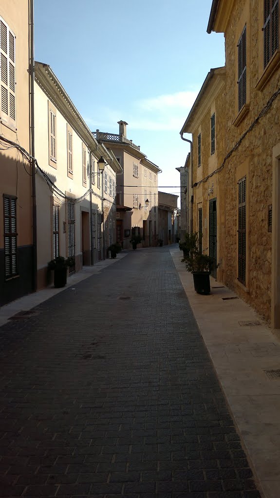 Carrer "peatonal" by joanet de ponent