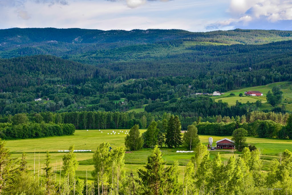 Heddal, Notodden, Telemark, Norway by GuoJunjun