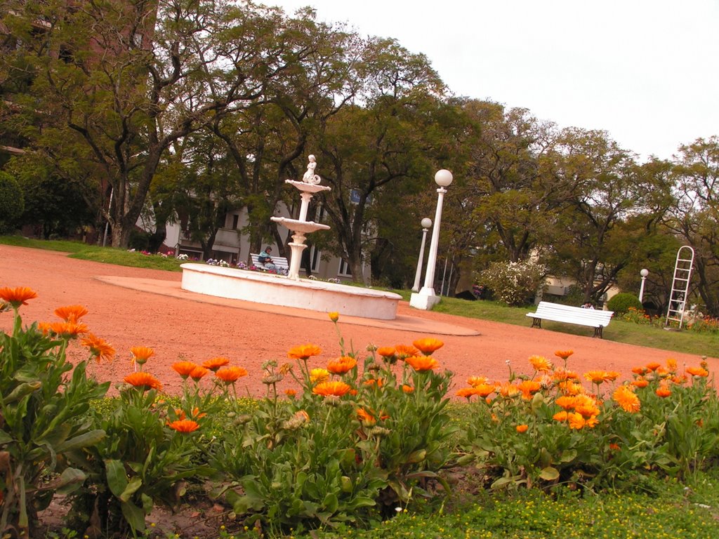 Plaza Alberdi en primavera by jorgesuarezverdier