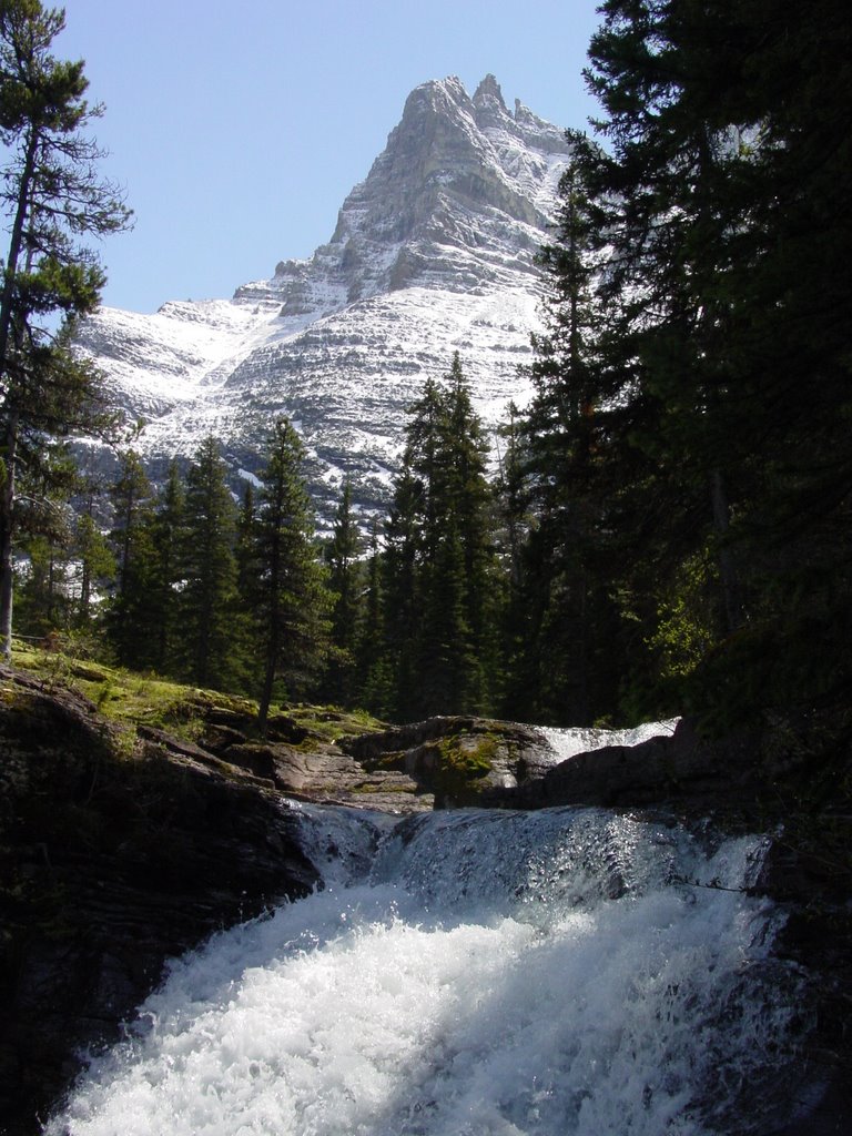 Virginia Falls (May 2004) by Sean Walsh-Haehle